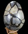 Septarian Dragon Egg Geode - Crystal Filled #73779-2